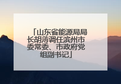 山东省能源局局长胡薄调任滨州市委常委、市政府党组副书记